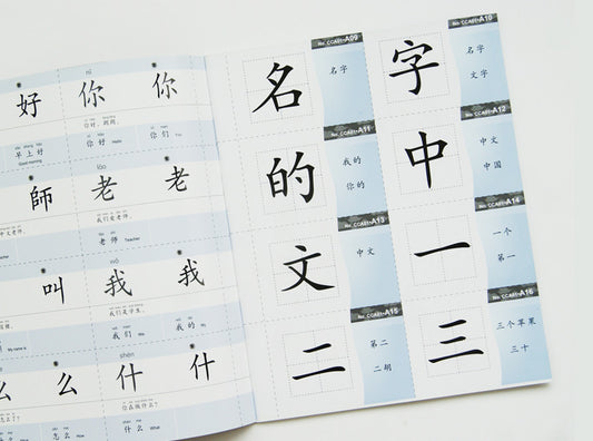 YCT 1-3,LangLang Chinese Vocabulary Flashcard  朗朗中文-小学-识字卡