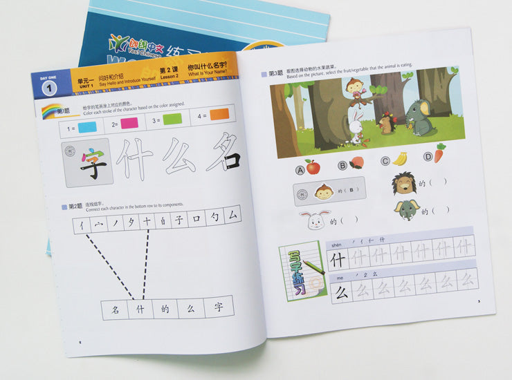 YCT 1-3,LangLang Chinese Book Basic Package, 朗朗中文-小学教材 基本套装